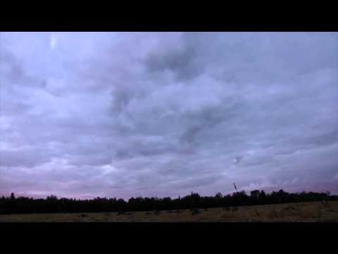 Indian Point Camps The Real Deal - This Episode is for the Birds