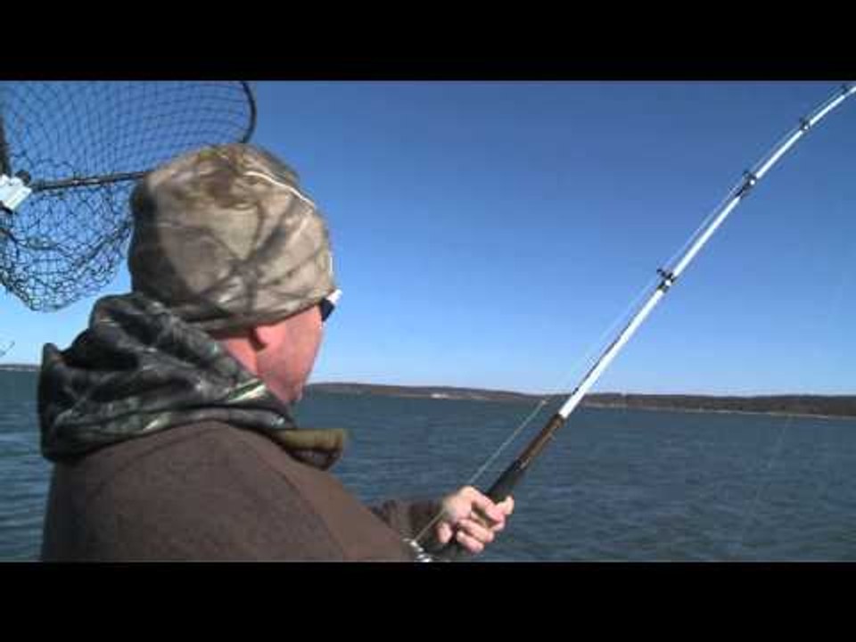 G3 Sportsman - G3 Sportsman