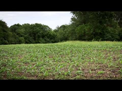 The Gamekeepers of Mossy Oak - Lay of the Land