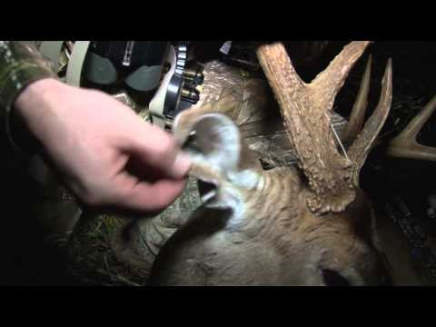 Wildgame Nation - Wildgame Nation