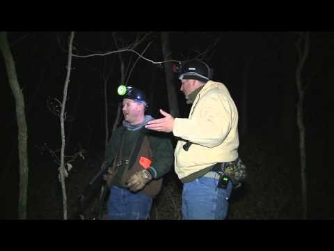 G3 Sportsman - Treeing Coones