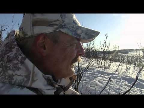 Trigger Effect - Trigger Effect