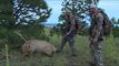 Primos  The Truth About Hunting - September Elk Hunting in New Mexico