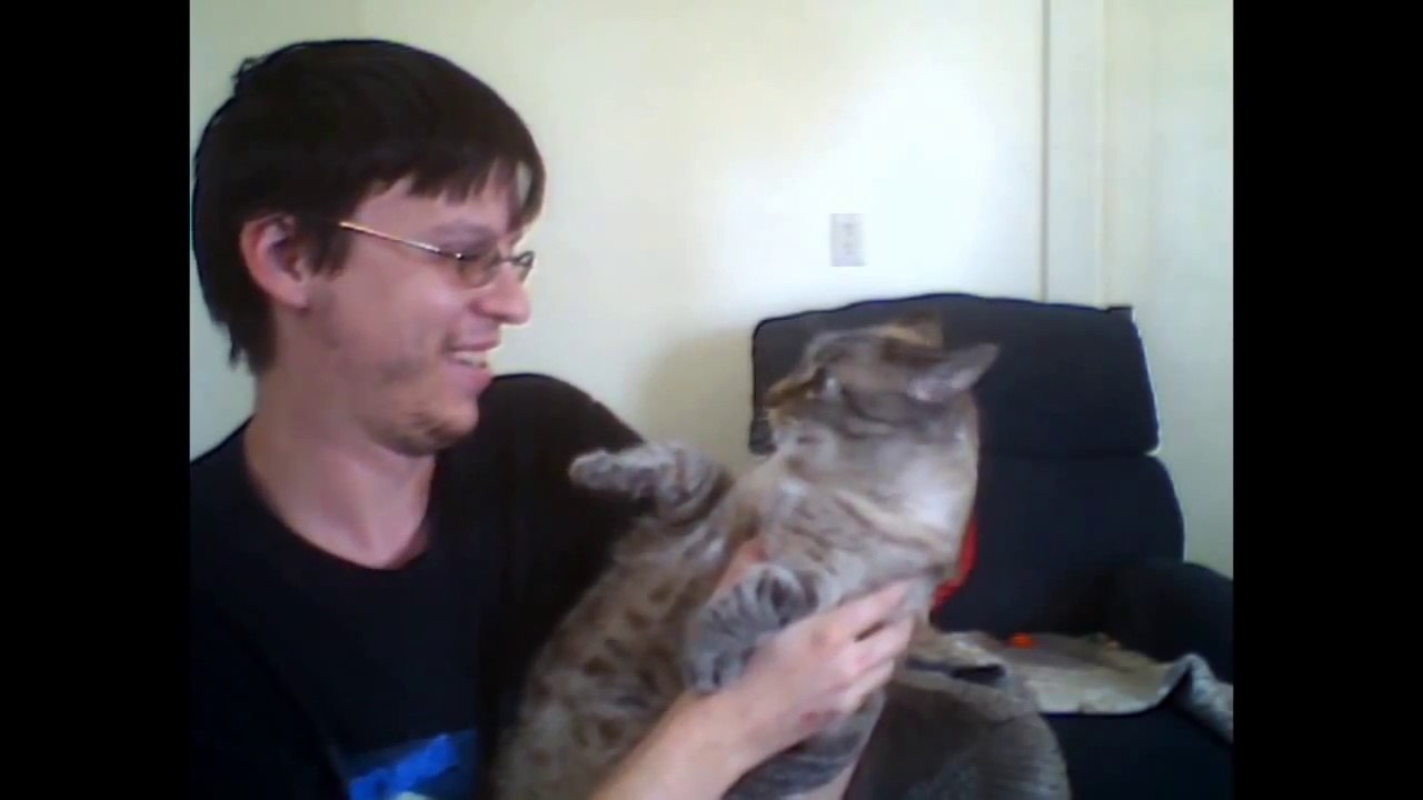Kitty Hate Kiss