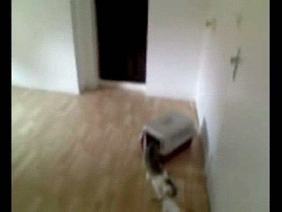 Movin'