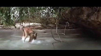 카지노꽁머니【 KOP77。COM 】인터넷경마사이트