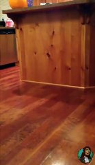 Hamile Annesini Taklit Eden Bebek