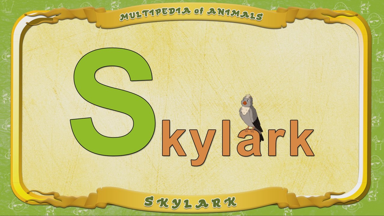 Multipedia of Animals. Letter S - Skylark