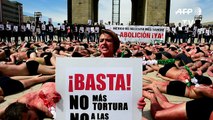Ativistas mexicanos pedem proibição de touradas