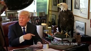 Watch Donald Trump get attacked by an eagle