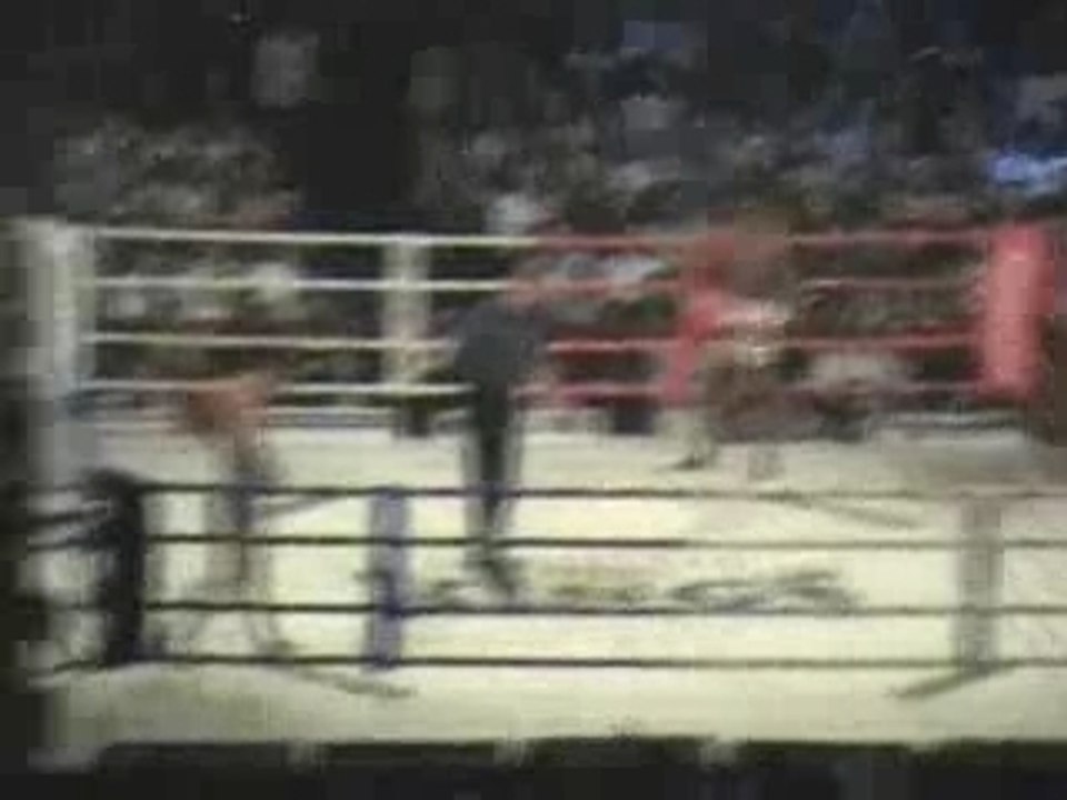 Buakaw vs Petrosyan (part 1)