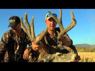 Moment of Impact - New Foundling Caribou 2