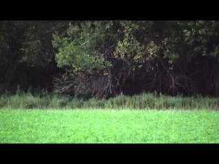 Innerlocs Out There - Persistence Pays Off Part 1