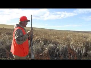 Trigger Effect - Interlake Bruins