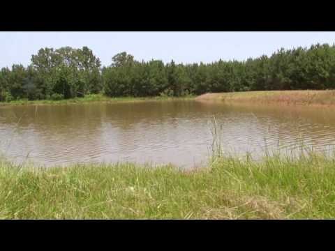 The Gamekeepers of Mossy Oak - A Pond Overhaul