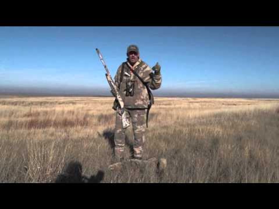 Predator Quest  - Call of the Coyotes