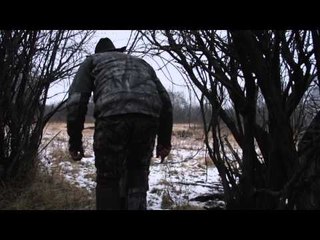 Download Video: Jim Shockeys Hunting Adventures - Jim Shockeys Hunting Adventures