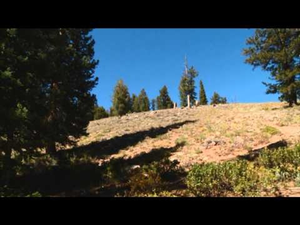 Destination Polaris - Destination Polaris