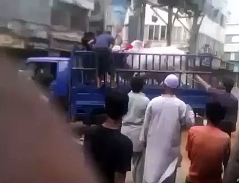 cow bhag gai
