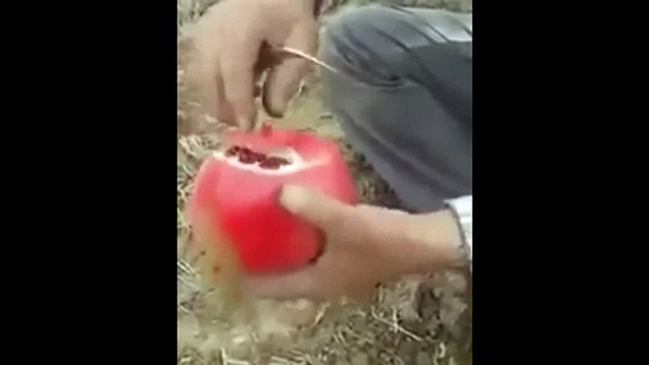 Способ быстро и красиво почистить Гранат