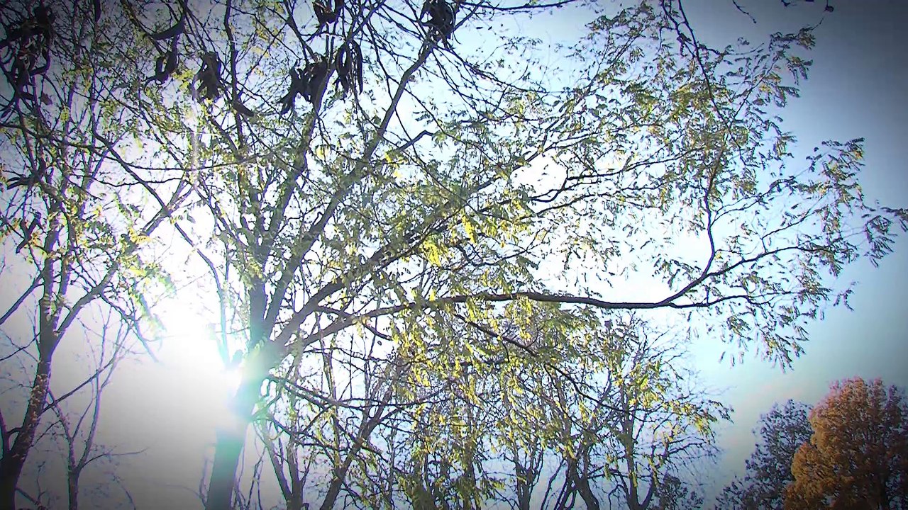 Hommage à l'occasion du 20ème anniversaire de Itzhak Rabin