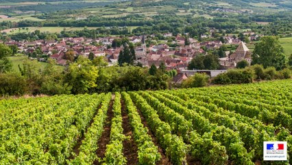 La douane au service des entreprises viti-vinicoles