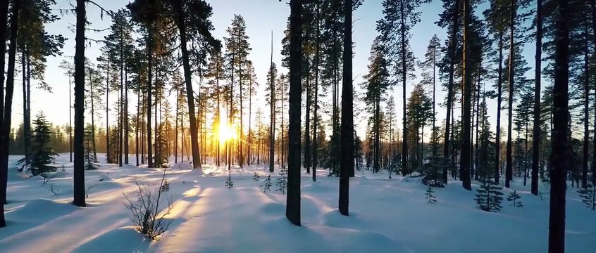 Замороженные Один - Жозе Моуринью диски на льду в новом Jaguar F-ПАСЕ