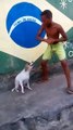 Cute dog and kid dancing together...