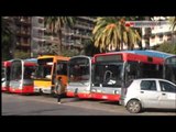 Tg Antenna Sud - Escalation di violenza sui bus Amtab, autista piacchiato