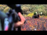 Jim Shockeys Hunting Adventures - Bow and Arrow or Not in the Yukon