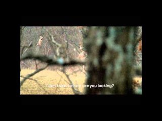 Raised Hunting - Connected