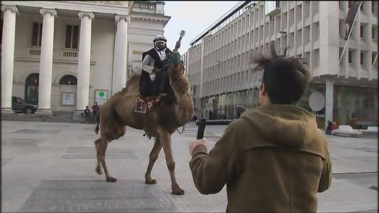 Un chameau sur la place de la Monnaie à Bruxelles