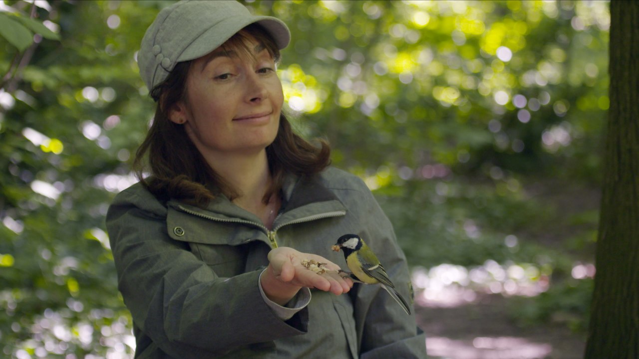 A côté, dans nos forêts (Extrait)