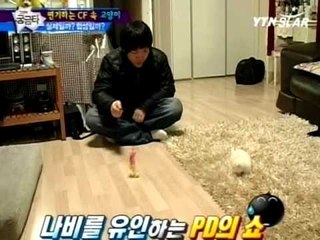 [그것이 궁금타 I'm curious about it] eps6-1 "CF속 연기파 고양이"