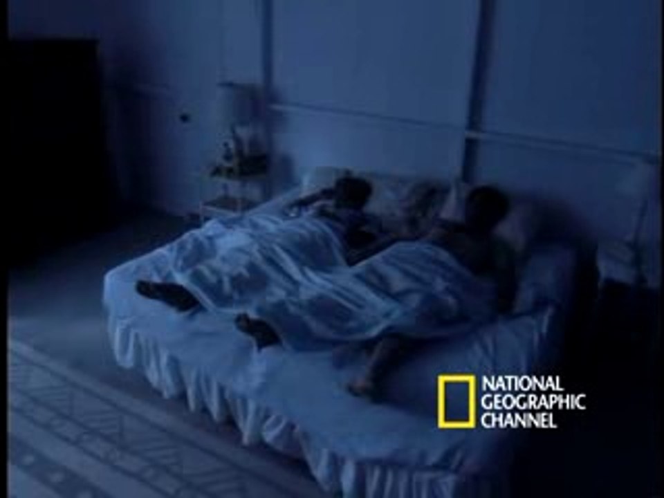 National Geographic - Bed Bugs