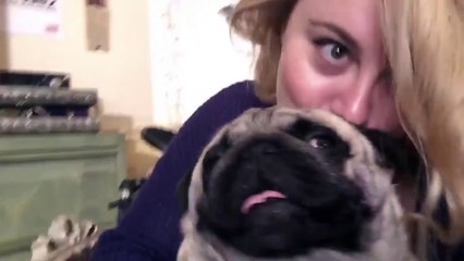 Havas Paris pour Interflora - «Dites-lui à la TV» - février 2016