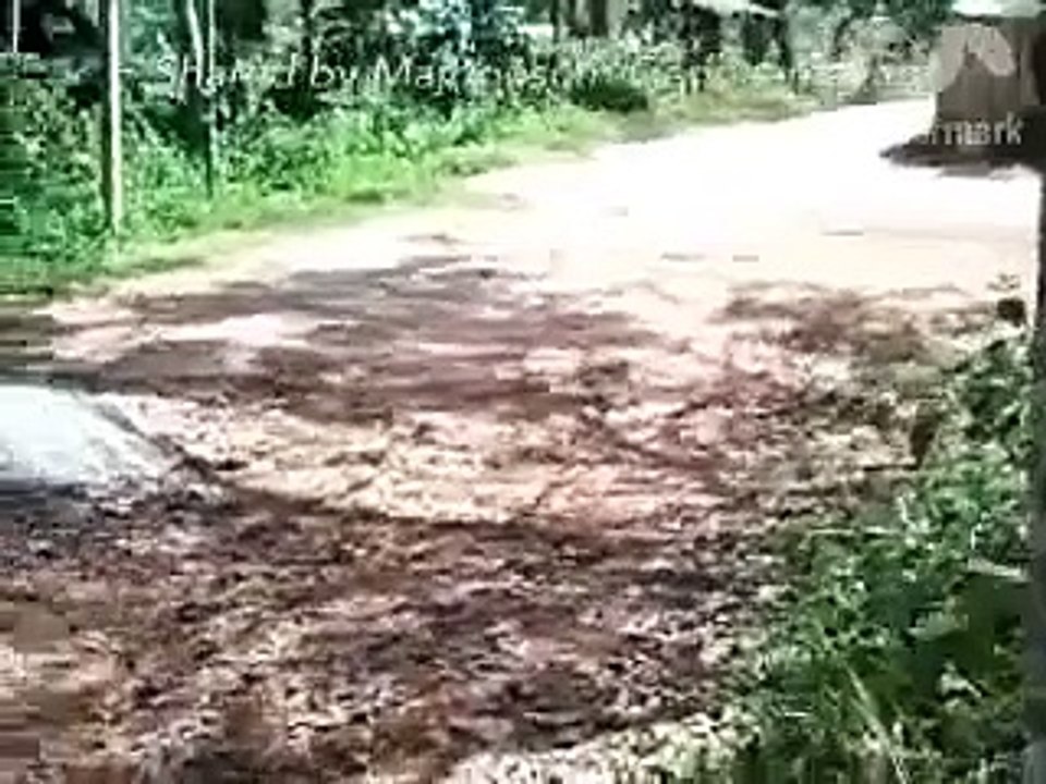 Most Funniest WhatsApp Videos
