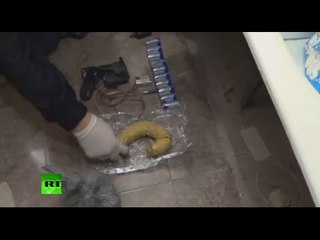 FSB detains seven ISIS members over terror plots in Moscow,  St. Pete