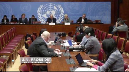 U.N. Probe Details Torture and Executions in Syria