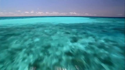 Doğadan Gelen Güzellik