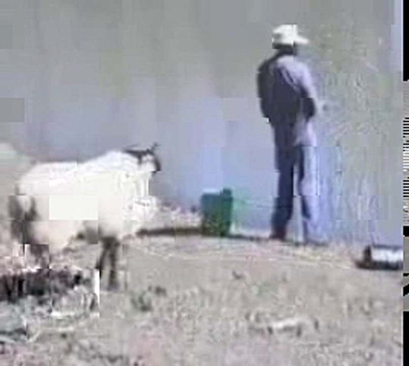 مقطع كوميدي