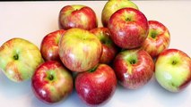 Homemade Apple Cider Recipe