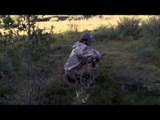 Americana Outdoors - The Challenge Dove Hunting and Skeet Shooting