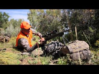 Long Range Pursuit - The Redemption Bull