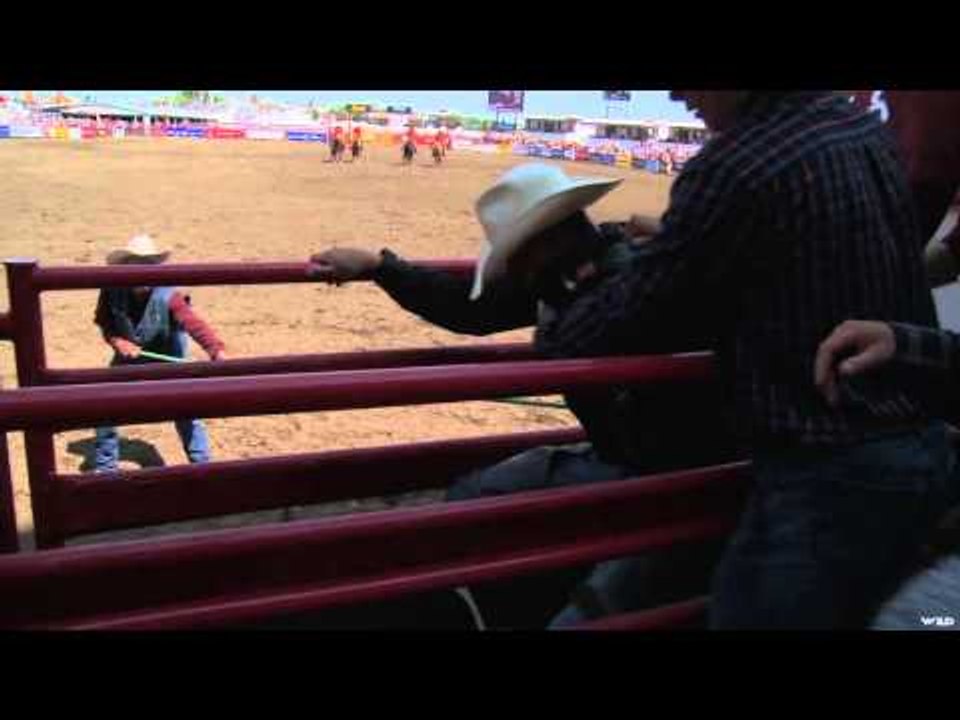 Hell On Hooves - A Lean Machine