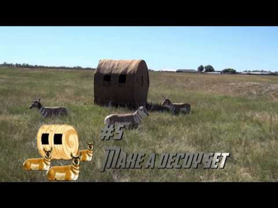 Nock On TV - Need for Speed