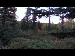 Born to Hunt Boys - Moose Hunting with Monette Outdoors Team