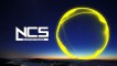 Alan Walker - Fade [NCS Release] - No Copyright Sounds