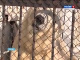 ロシア・ペンザ動物園の新計画