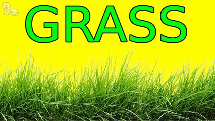 Spider-Man Surprise Egg Learn-A-Word! Spelling Outdoor Words! Lesson 3